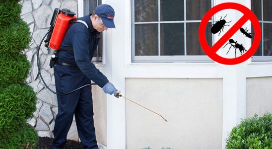Çaykara Tahtakurusu İlaçlama böcek ilaçlama ve haşere kontrolü — ilaclama-tr.com